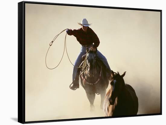 Cowboys Lassoing on the Range-DLILLC-Framed Stretched Canvas
