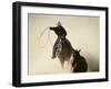 Cowboys Lassoing on the Range-DLILLC-Framed Premium Photographic Print