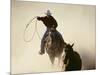 Cowboys Lassoing on the Range-DLILLC-Mounted Photographic Print