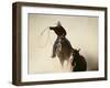 Cowboys Lassoing on the Range-DLILLC-Framed Photographic Print