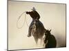 Cowboys Lassoing on the Range-DLILLC-Mounted Photographic Print