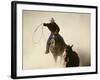 Cowboys Lassoing on the Range-DLILLC-Framed Photographic Print