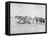 Cowboys Observe a Map on the Ground Photograph - Texas-Lantern Press-Framed Stretched Canvas