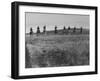 Cowboys on Long Cattle Drive from S. Dakota to Nebraska-Grey Villet-Framed Photographic Print