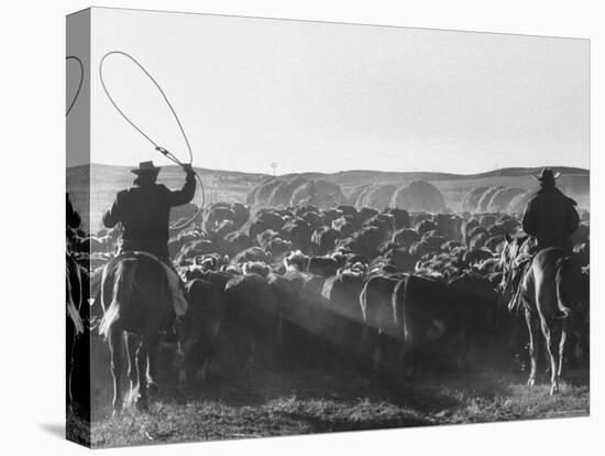 Cowboys on Long Cattle Drive from S. Dakota to Nebraska-Grey Villet-Stretched Canvas