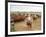 Cowboys on the King Ranch Move Santa Gertrudis Cattle from the Roundup Area Into the Working Pens-Ralph Crane-Framed Photographic Print