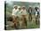 Cowboys on the King Ranch Stand Around During a Break from Rounding Up Cattle-Ralph Crane-Stretched Canvas