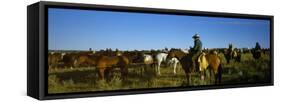 Cowboys Riding Horses in a Field-null-Framed Stretched Canvas