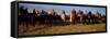 Cowboys Riding Horses in a Field-null-Framed Stretched Canvas