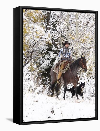 Cowboys Riding in Autumn Aspens with a Fresh Snowfall-Terry Eggers-Framed Stretched Canvas