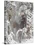 Cowboys Riding in Autumn Aspens with a Fresh Snowfall-Terry Eggers-Stretched Canvas