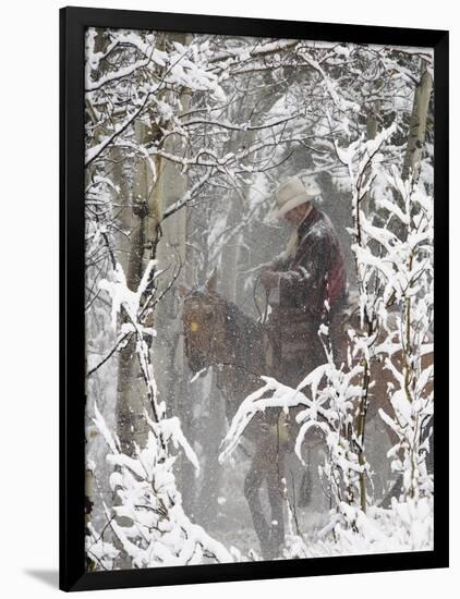 Cowboys Riding in Autumn Aspens with a Fresh Snowfall-Terry Eggers-Framed Photographic Print