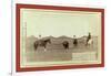 Cowboys, Roping a Buffalo on the Plains-John C. H. Grabill-Framed Giclee Print