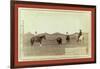 Cowboys, Roping a Buffalo on the Plains-John C. H. Grabill-Framed Giclee Print