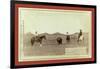 Cowboys, Roping a Buffalo on the Plains-John C. H. Grabill-Framed Giclee Print