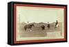 Cowboys, Roping a Buffalo on the Plains-John C. H. Grabill-Framed Stretched Canvas