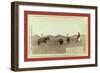 Cowboys, Roping a Buffalo on the Plains-John C. H. Grabill-Framed Giclee Print