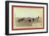 Cowboys, Roping a Buffalo on the Plains-John C. H. Grabill-Framed Giclee Print