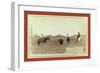 Cowboys, Roping a Buffalo on the Plains-John C. H. Grabill-Framed Giclee Print