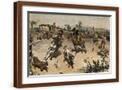 Brown Frame