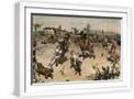 White Frame
