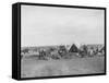 Cowboys Sitting around Chuckwagon Photograph - Belle Fourche, SD-Lantern Press-Framed Stretched Canvas