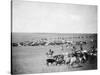 Cowboys with Cattle on the Range Photograph - Belle Fourche, SD-Lantern Press-Stretched Canvas