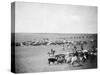 Cowboys with Cattle on the Range Photograph - Belle Fourche, SD-Lantern Press-Stretched Canvas