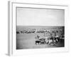 Cowboys with Cattle on the Range Photograph - Belle Fourche, SD-Lantern Press-Framed Art Print