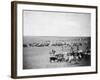 Cowboys with Cattle on the Range Photograph - Belle Fourche, SD-Lantern Press-Framed Art Print