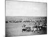 Cowboys with Cattle on the Range Photograph - Belle Fourche, SD-Lantern Press-Mounted Art Print