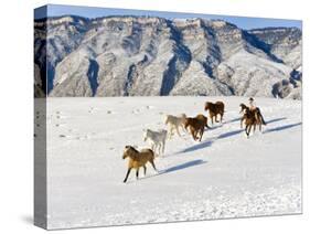 Cowboys With Horses, Hideout Ranch, Shell, Wyoming, USA-Joe Restuccia III-Stretched Canvas