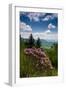 Cowee Mountain Overlook, Blue Ridge Parkway, North Carolina-Howie Garber-Framed Photographic Print