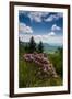 Cowee Mountain Overlook, Blue Ridge Parkway, North Carolina-Howie Garber-Framed Photographic Print