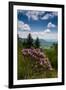 Cowee Mountain Overlook, Blue Ridge Parkway, North Carolina-Howie Garber-Framed Photographic Print