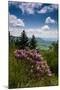 Cowee Mountain Overlook, Blue Ridge Parkway, North Carolina-Howie Garber-Mounted Photographic Print