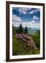 Cowee Mountain Overlook, Blue Ridge Parkway, North Carolina-Howie Garber-Framed Photographic Print