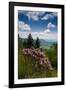 Cowee Mountain Overlook, Blue Ridge Parkway, North Carolina-Howie Garber-Framed Photographic Print