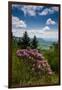 Cowee Mountain Overlook, Blue Ridge Parkway, North Carolina-Howie Garber-Framed Photographic Print