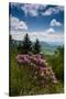 Cowee Mountain Overlook, Blue Ridge Parkway, North Carolina-Howie Garber-Stretched Canvas