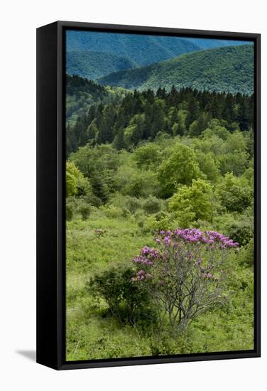 Cowee Mountain Overlook, Blue Ridge Parkway, North Carolina-Howie Garber-Framed Stretched Canvas