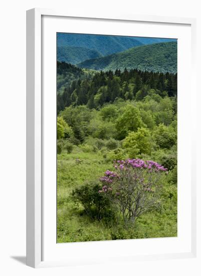 Cowee Mountain Overlook, Blue Ridge Parkway, North Carolina-Howie Garber-Framed Photographic Print