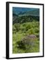 Cowee Mountain Overlook, Blue Ridge Parkway, North Carolina-Howie Garber-Framed Photographic Print