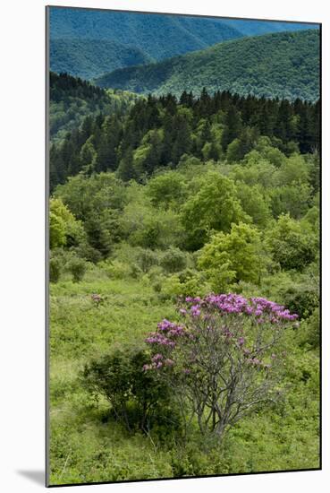 Cowee Mountain Overlook, Blue Ridge Parkway, North Carolina-Howie Garber-Mounted Photographic Print