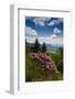 Cowee Mountain Overlook, Blue Ridge Parkway, North Carolina-Howie Garber-Framed Photographic Print