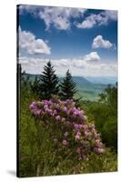 Cowee Mountain Overlook, Blue Ridge Parkway, North Carolina-Howie Garber-Stretched Canvas