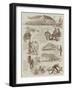 Cowes' Race Week-Sydney Prior Hall-Framed Giclee Print