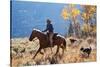 Cowgirl and Her Dogs-Terry Eggers-Stretched Canvas
