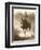 Cowgirl, Apache Spirit Ranch, Tombstone, Arizona, USA MR-Christian Heeb-Framed Photographic Print