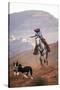 Cowgirl at Full Gallop with Cowdogs Leading Way-Terry Eggers-Stretched Canvas